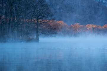 岸辺の森の木々が霧に霞む朝の湖。