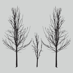tree silhouette vector