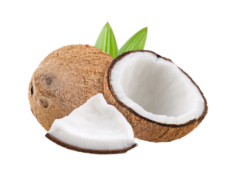 coconut with leaf isolated on transparent png