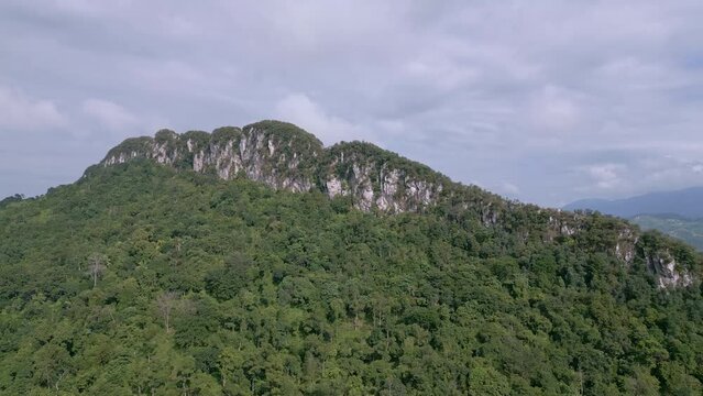 Aerial view green Bukit Tabur part of Klang Gates Quartz Ridge
