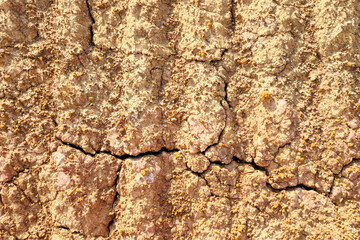 Dirt, terrain or gravel stone road cracked surface, Arid environmental global warming disaster. Nature background and texture photo.