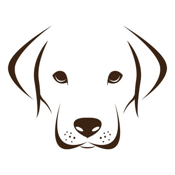 Dog labrador face design isolated on transparent background. Pet. Animals.
