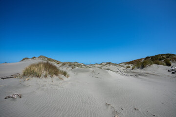 Dunes at Foxton Beach in New Zealand on a sunny day