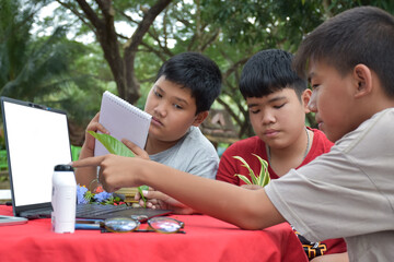 Young Asian boys doing homework and do the reports about various species of tropical forests by using laptops, magnifiers, notebooks, pocket binoculars and tablets, mockup laptop concept.