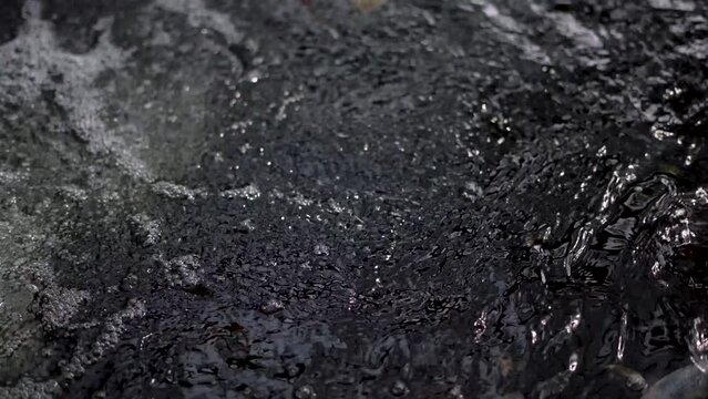 very beautiful and very big massive koi carp fishes in the garden pond for the fengshui and relaxing