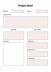 Project Brief