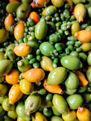 color yellow and green of gnetum seed