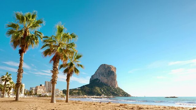 Calpe, mountain, beach and palm tree- alicante province in Spain