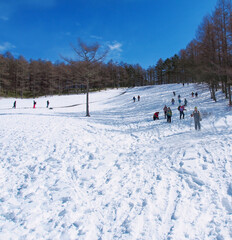 雪に覆われた湿原をスノーシューで歩く人々(長野県・入笠湿原)