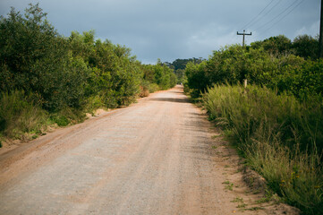 Dirt road seen running through bushveld