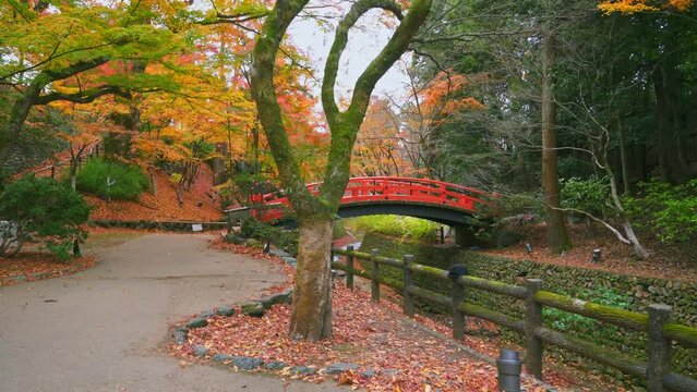 京都　北野天満宮　もみじ苑の紅葉　
