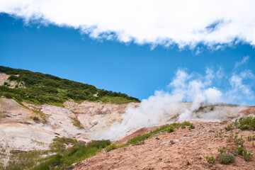 Steaming mud holes and solfataras in the geothermal area of Kamchatka peninsula. Summer landscape