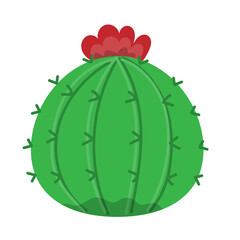 Cute succulent or cactus plant