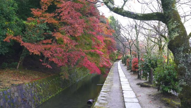 京都　哲学の道の紅葉