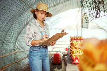 Farmer, clipboard writing or chicken eggs management for export sales, healthy food industry or...