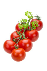 Tomato branch with parsley