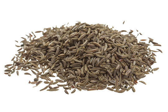 caraway