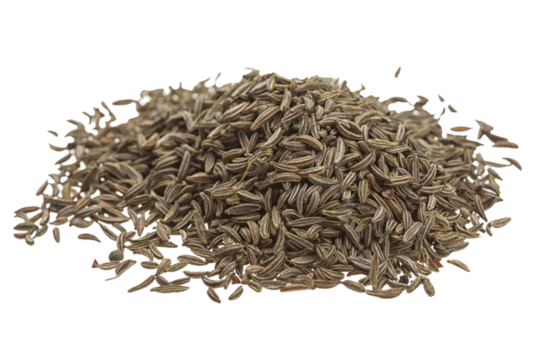 caraway