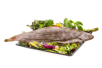 Fish Dover sole