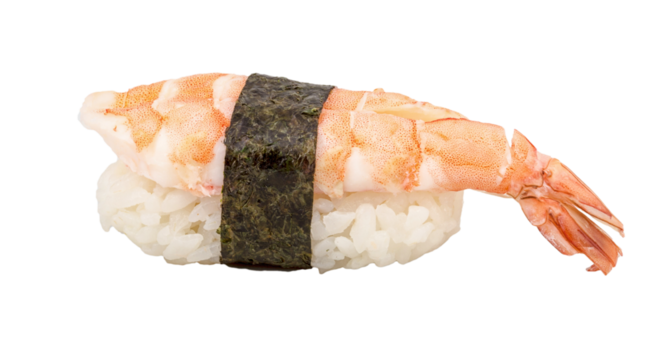 Shrimp sushi closeup isolated on white background