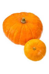Ripe pumpkin