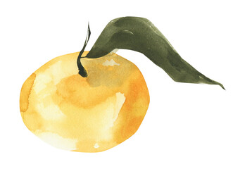 Watercolor tangerine clipart. Summer fruit png illustration.