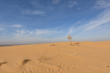 sand dunes and sky
