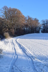 Fototapeta na wymiar FEldweg im Schnee