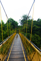 Obraz premium bridge over the river