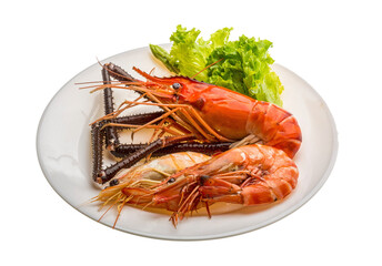 Giant Freshwater Prawn and king prawns