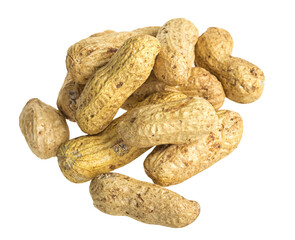 close up of peanut