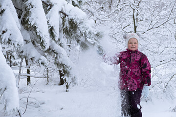 Child snow is having fun. A little girl in a winter forest. He throws snow from the fir branches...