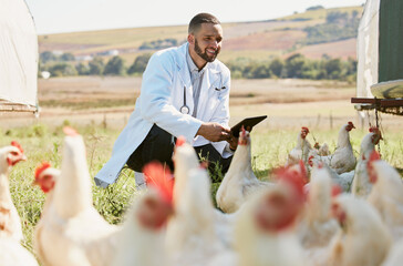 Man, veterinary or tablet on chicken farm for healthcare wellness, bird flu compliance or growth hormone research. Smile, happy or animals doctor with poultry, 5g digital technology or eggs farming