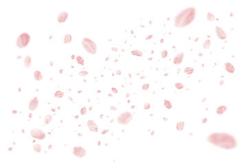 Fototapeta 切り抜きで使える、リアルな桜の花吹雪 obraz
