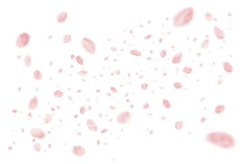 切り抜きで使える、リアルな桜の花吹雪