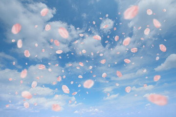 青空を背景に桜が舞う、華やかな春のイメージ