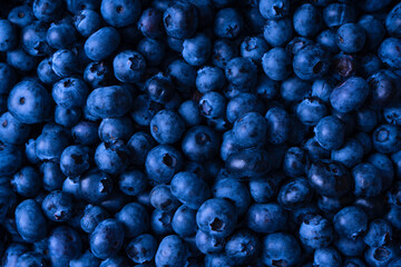 Fresh blueberry background. Texture blueberry berries close up.