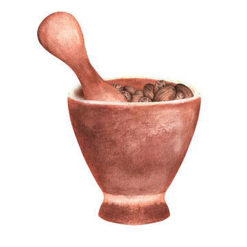 recommend clip art: Hand-drawn watercolor nutmeg in a mortar with a pestle
