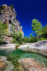 Fototapeta na wymiar Les vasques naturelles verts des Gorges du Pennafort en Provence verte dans le Var.