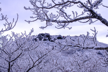 Scenic view of snow-covered mountains against sky