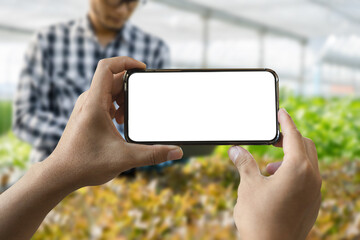 Hand holding smartphone, white screen, vegetable garden background.