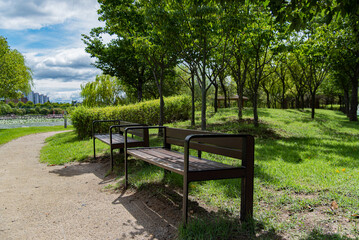 the scenery of a midsummer park after a shower