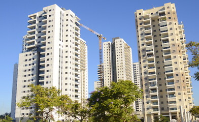 Obraz premium Modern high-rise residential buildings under blue sky. Tree with orange fruits in the foreground. Construction crane. Concept: a pleasant place to live, a real estate agency, investment. Copy spase