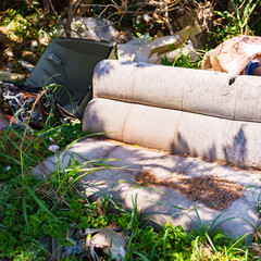 不法投棄　ゴミ　粗大ごみ　【 社会問題 の イメージ 】