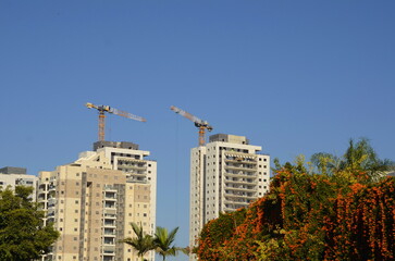Modern high-rise residential buildings under blue sky. Tree with orange fruits  in the foreground....