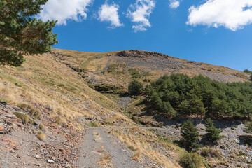 dirt road in the Sierra Nevada mountain in southern Spain