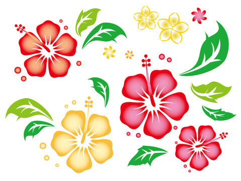 Clip art of red, orange and yellow hibiscus with green leaves