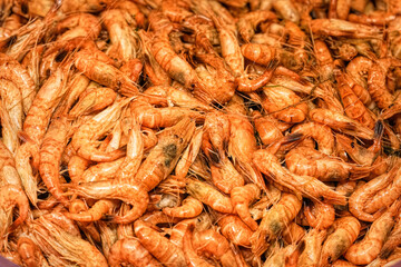 Closeup on an aggregation of boiled as food North sea prawns schrimps, a Belgian expensive delicacy