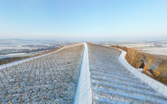 Winter im Weingut