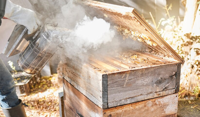 Bee farming, wood box and smoke with nature and beekeeping, honey extraction and natural product...